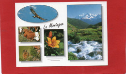 LA MONTAGNE---Multi-vues--voir 2 Scans - Rhône-Alpes