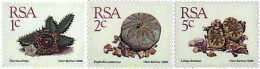 354343 MNH SUDAFRICA 1988 PLANTAS CRASAS - Neufs