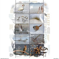 MDB-BK7-181-1 MINT ¤ NEDERLAND NETHERLANDS 2023 10w In Serie ¤ BIRDS - MARKERS WADDEN - FISH - VOGELS - VÖGEL - Marine Web-footed Birds