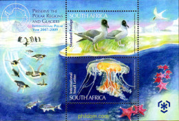 242969 MNH SUDAFRICA 2009 PRESERVACION DE LOS POLOS Y GLACIARES - Nuevos