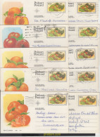 662692 MNH SUDAFRICA 1982 FRUTAS - Unused Stamps