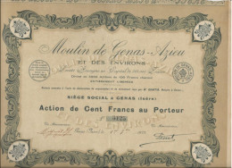 MOULIN DE GENAS -AZIEU  -ISERE - DIVISE EN 3250 ACTIONS DE 100 FRANCS -ANNEE 1923 - Agriculture