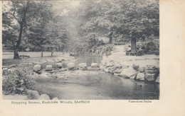 Postcard Stepping Stones Endcliffe Woods Sheffield My Ref B14833 - Sheffield