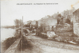 49)   CHAMPTOCEAUX  -  La Patache Les Bords De La Loire - Champtoceaux