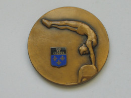 Médaille De Gymnastique - Cheval D'arçons - Ile De France  *** EN ACHAT IMMEDIAT *** - Gimnasia