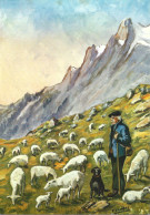 Carte Postale - Illustration - F.Combaz - Le Vieux Berger Et Ses Moutons - Combaz