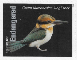 USA 2023 MiNr. 6064ba  Endangered Species Birds The Guam Kingfisher (Todiramphus Cinnamominus) 1v MNH **  1.40 € - Unused Stamps