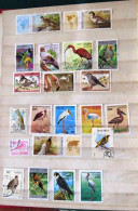 Birds, Various Owl Ducks Maps - Colecciones & Series