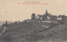 CPA (65)   CASTELNAU RIVIERE BASSE Vue De L Est - Castelnau Riviere Basse