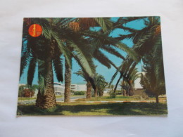 AGADIR ( MAROC ) PALMIERS BLEUH  BELLE VUE  2 TIMBRES AU DOS - Agadir