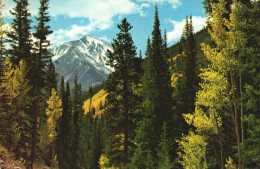 TORREY'S PEAK, MOUNTAIN, COLORADO, UNITED STATES - Sonstige & Ohne Zuordnung