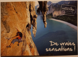 ESCALADE - Femme Sur Parois Rocheuse  - Carte Publicitaire THAILANDE - Climbing