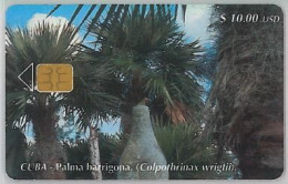 PHONE CARD-CUBA (E45.9.2 - Kuba