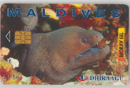 PHONE CARD - MALDIVE (E44.33.8 - Maldive