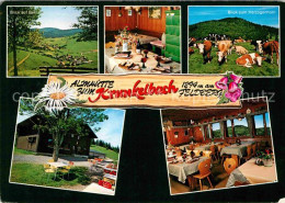 42693754 Bernau Schwarzwald Panorama Almhuette Zum Krunkelbach Gaststube Terrass - Bernau