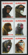 Surinam 2007 - Mi-Nr. 2152-2157 ** - MNH - Affen / Monkey - Suriname