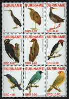 Surinam 2007 - Mi-Nr. 2129-2137 ** - MNH - Vögel / Birds - Suriname