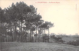 FRANCE - Jullouville - Le Bois De Sapins - Carte Postale Ancienne - Andere & Zonder Classificatie