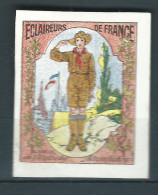 Vignette DELANDRE - France - éclaireurs De France - 1914 -18 WWI WW1 Poster Stamp - Erinnophilie