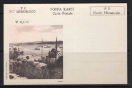 1971 TURKEY FORMULAR CARD DOLMABAHCE ISTANBUL UNUSED - Interi Postali