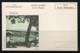 1971 TURKEY FORMULAR CARD RUMELIHISARI ISTANBUL UNUSED - Interi Postali