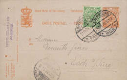 Luxembourg - Luxemburg -  Entiers Postaux     1920 - Entiers Postaux