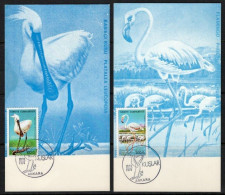 1976 TURKEY BIRDS 2x MAXIMUM CARDS - Tarjetas – Máxima