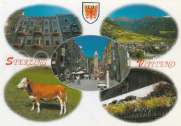 U4679 Vipiteno Sterzing (Bolzano) - Panorama Vedute Multipla - Vacca, Mucca, Cow, Koe, Vache, Vaca / Non Viaggiata - Vipiteno