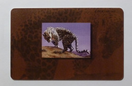 FAUNE / LEOPARD ARABE - Arabian Leopard - Carte Téléphone à Puce EMIRATS ARABES UNIS / Phonecard UAE - Oerwoud