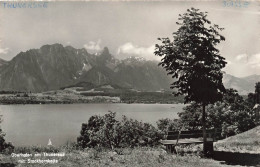 SUISSE - Thoune - Lac De Thoune - Vue D'ensemble - Carte Postale Ancienne - Thun