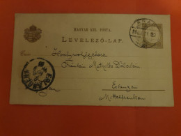 Hongrie - Entier Postal De Arad Pour Erlangen En 1895 - D 370 - Postwaardestukken