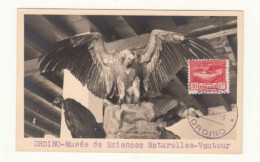 Andorra / Birds / Express Stamps / Maximum Cards - Other & Unclassified