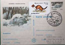 Rumänien Postkarte Ganzsache Hermelin Mit Zusatzfrankatur Und SSt - Used Stamps