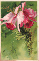 FLEURS, PLANTES & ARBRES - Fleurs - Végétation - Carte Postale Ancienne - Flowers