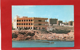 ESPAGNE---TORREVIEJA --Hôtel MARBELLA---voir 2 Scans - Alicante