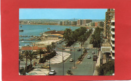 ESPAGNE---TORREVIEJA --Paseo Vista Alegre Y Club Nautico---voir 2 Scans - Alicante