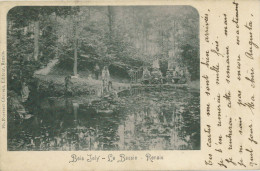 RENAIX RONSE: 1901: Bois Joly Le Bassin - Ronse