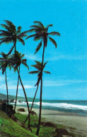 1 AK Barbados * Bathsheba Beach, Bathsheba Liegt Im Parish Saint Joseph An Der Ostküste Von Barbados * - Barbades