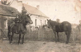 FANTAISIE - Homme - Paysan Sur Son Cheval - Chevaux - Ferme - La Flèche 3 Janvier 1915 - Carte Postale Ancienne - Uomini