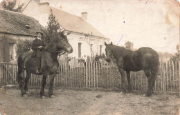 FANTAISIE - Homme - Paysan Sur Son Cheval - Chevaux - Ferme - La Flèche 3 Janvier 1915 - Carte Postale Ancienne - Mannen