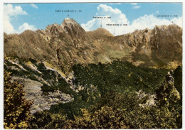 ALPI APUANE - CARRARA - PANORAMA - 1964 - Vedi Retro - Carrara