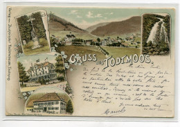 ALLEMAGNE Gruss Aus TODTMOOS écrite Aout 1896 CACHET Gasthof  Edit Buchbinder Trotschler  D23 2021 - Todtmoos