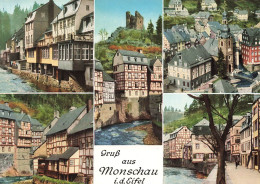 ALLEMAGNE - Monschau - Rurpartie - Haller Ruine - Carte Postale Récente - Other & Unclassified