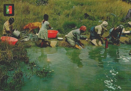 LUANDA, Angola - LAVADEIRAS No Rio Quanza  ( 2 Scans ) - Angola