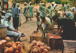 LUANDA, Angola - Mercado Popular  ( 2 Scans ) - Angola