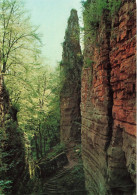 LUXEMBOURG - Petite Suisse Luxembourgeoise - Gorge Du Loup - Colorisé - Carte Postale - Altri & Non Classificati