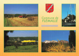 BELGIQUE - Flémalle - Mons - Chokier - Usine - Château D'Aigremont - Carte Postale - Flémalle