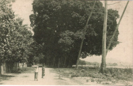 TIMOR - PORTUGUÊS - (Bidau) - Gigantescos Gondões De Lecidere - East Timor