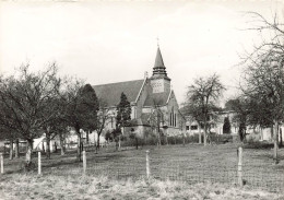 BELGIQUEl - Dilbeek - Sint Gertruide Pede - L'église De Sainte Gertrude - Carte Postale Ancienne - Dilbeek