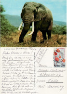 KENYA 1984 AIRMAIL POSTCARD SENT FROM MOMBASA TO CELLE - Kenia (1963-...)